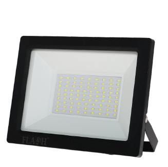 Flash Floodlight 50W Daylight
