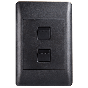 Lesco Apollo Switch Two Lever 2-Way 100×50 AP42SW2/1-SB