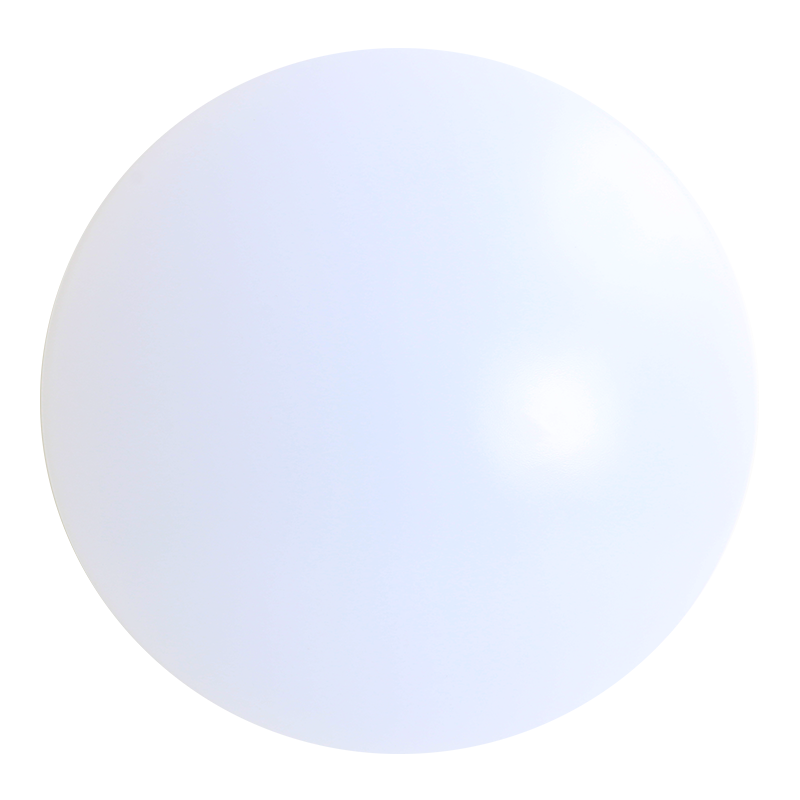 Flash CEILING LAMP 300MM D/BOX 18W D/LIGHT