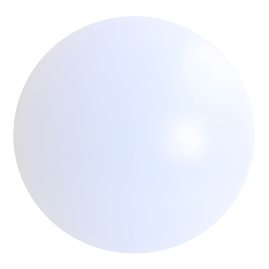 Flash CEILING LAMP 300MM D/BOX 18W D/LIGHT