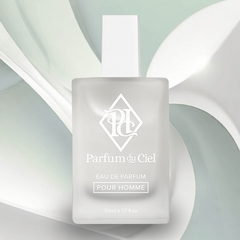 Parfum du Ciel - Seduction in Black (Men) 50ML