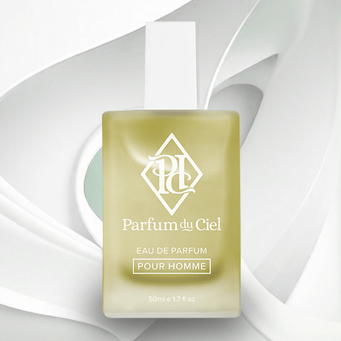 Parfum du Ciel - Tom Ford Noir (Men) 50ML