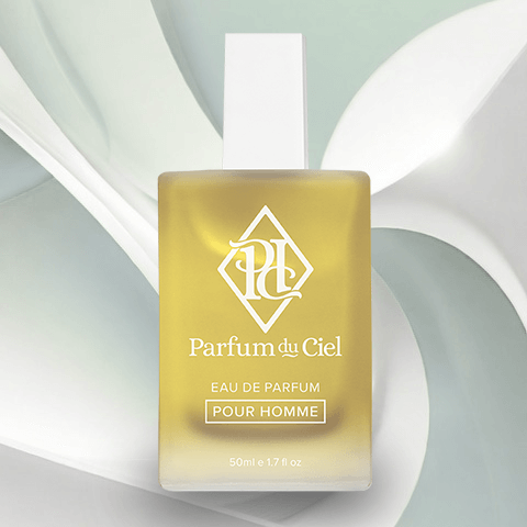 Parfum du Ciel - Aramis 900 (Men) 50ML