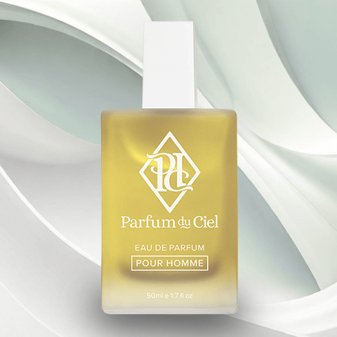 Parfum du Ciel - VIP Men (212 Men) 50ML
