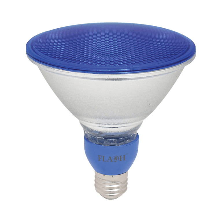 FLASH LED PAR38 LAMP BLUE